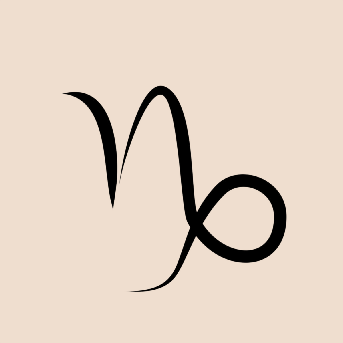 ♑ Capricorn