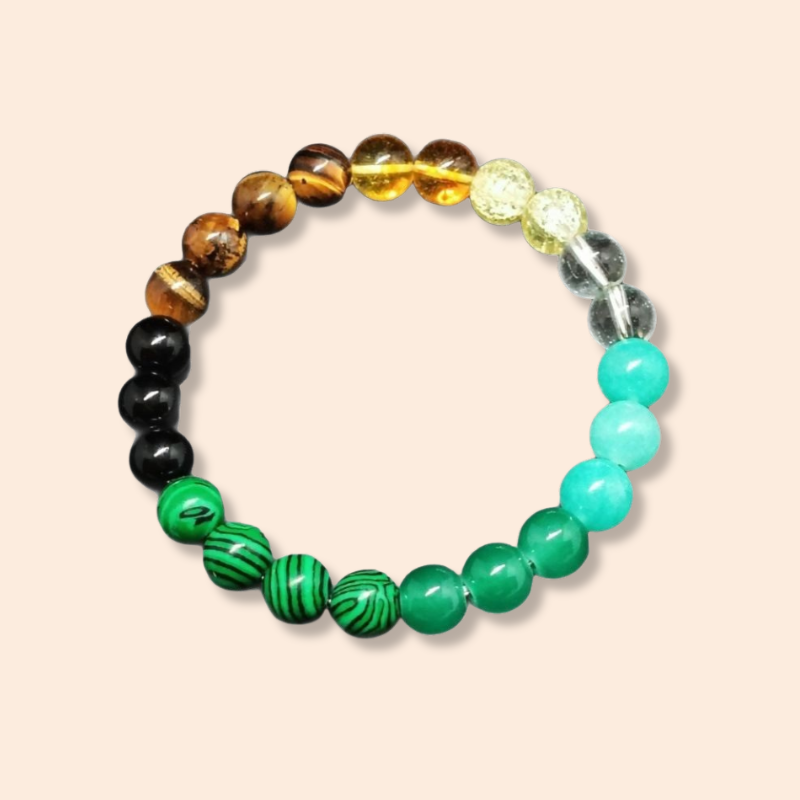 Money Bracelet
